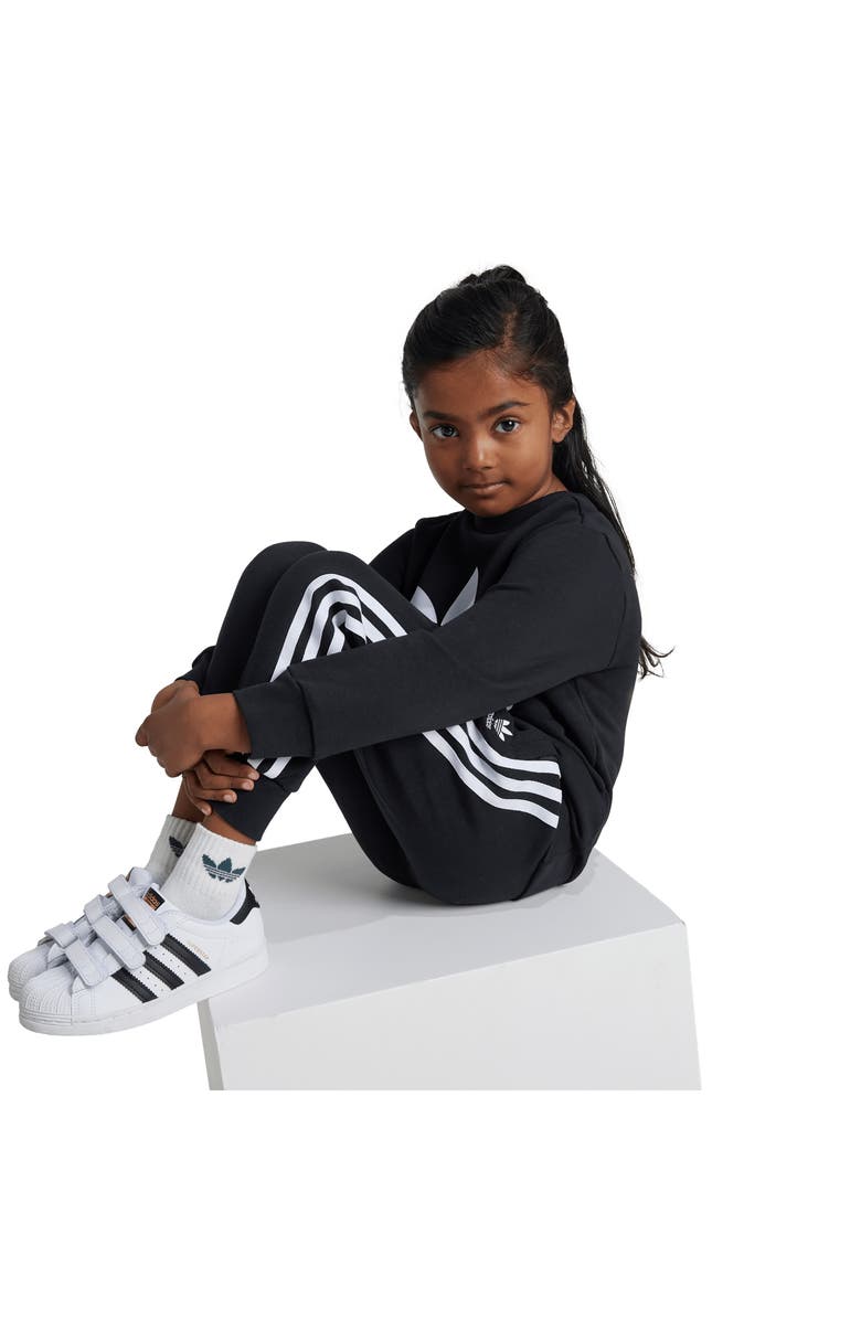 adidas Kids' Adicolor Lifestyle Graphic Sweatshirt & Joggers Set, Alternate, color,