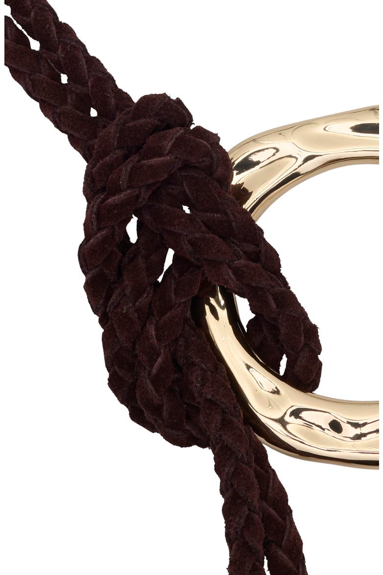Jules Braided Suede Tie Belt, Alternate, color, BROWN - GOLD