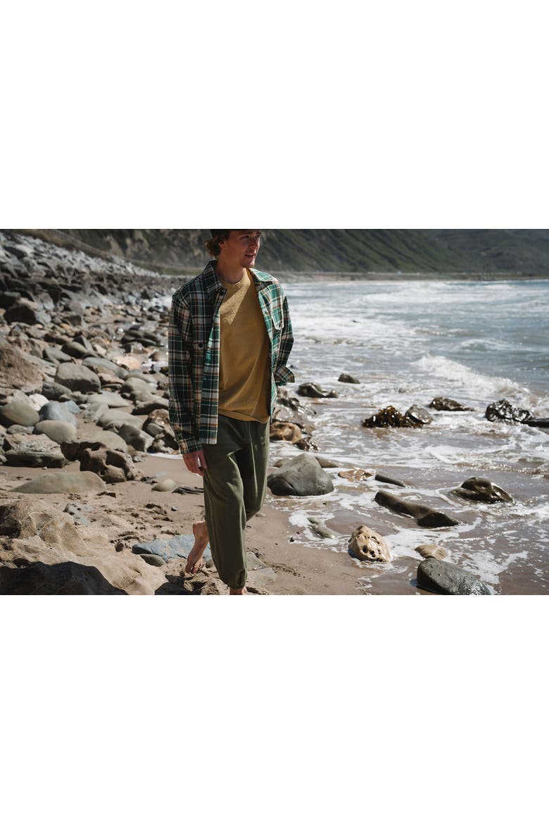 Gender Inclusive Bucky Flannel Over Shirt, Alternate, color, Green/Brown