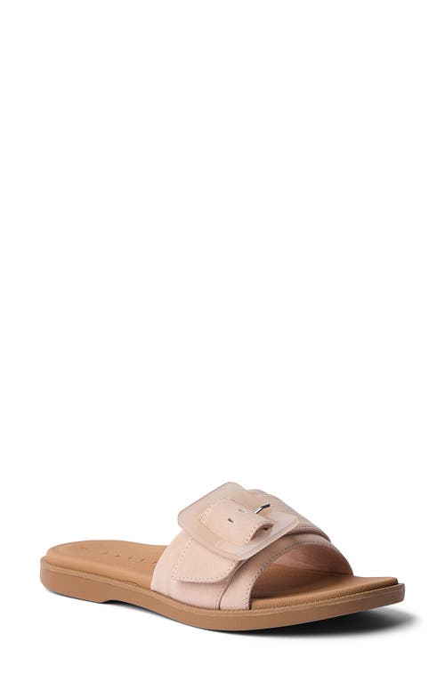 Reef Cushion Sunny Buckle Slide Sandal In Cameo Rose