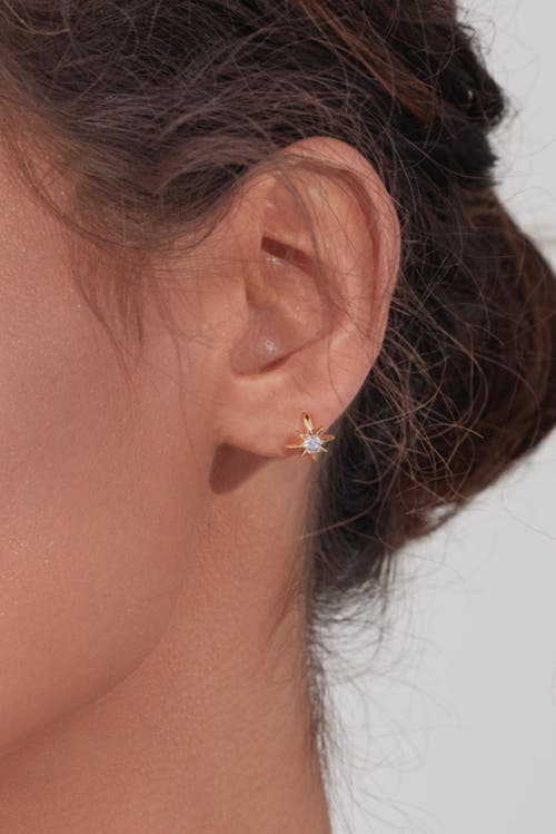 Bearfruit Jewelry Pointed Star Huggies In Gold