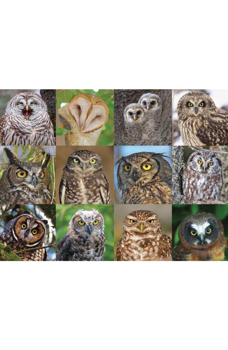 NEW YORK PUZZLE COMPANY Owls and Owlets 1000 Piece Puzzle, Alternate, color, NO COLOR