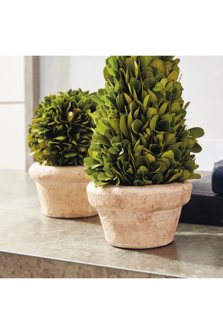 Boxwood Topiaries Faux (Fake) In Pots Set of 5, Alternate, color, Green