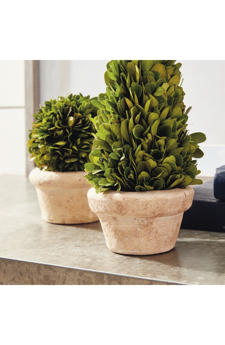 Napa Home & Garden Boxwood Topiaries Faux (Fake) In Pots Set of 5, Alternate, color,