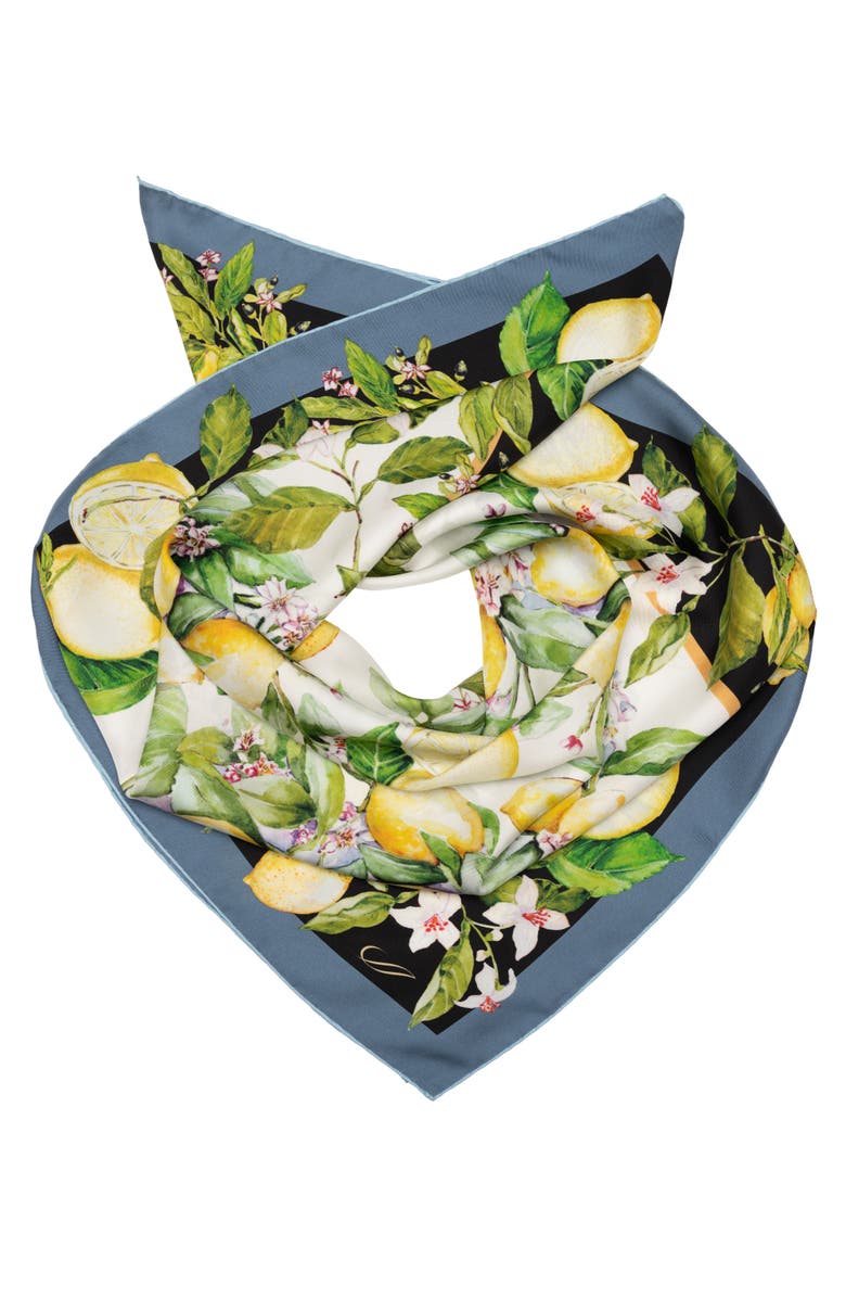 Elizabetta Limoni Fioriti - Silk Foulard for Women, Alternate, color, Black