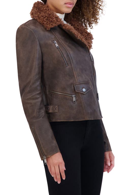 Andrew Marc Paley Leather Jacket With Faux Shearling Collar In Brown