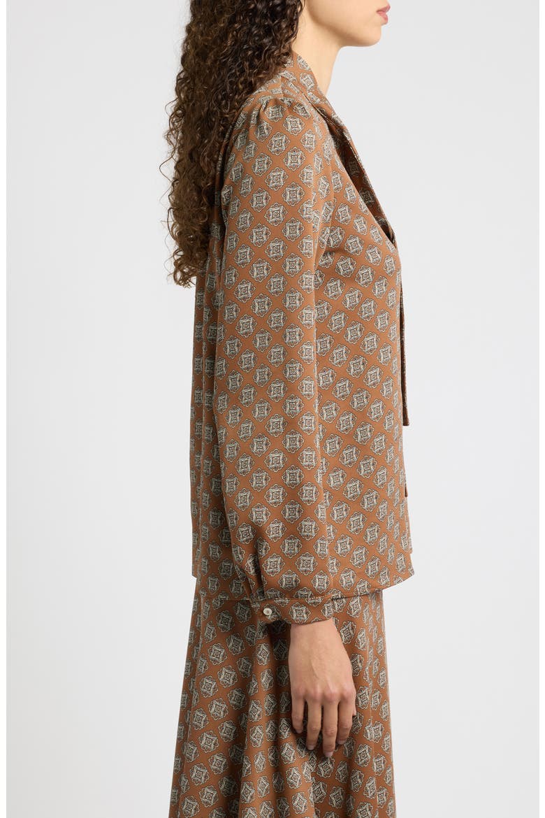Tie Neck Long Sleeve Top, Alternate, color, BURNT BROWN TIE PRINT