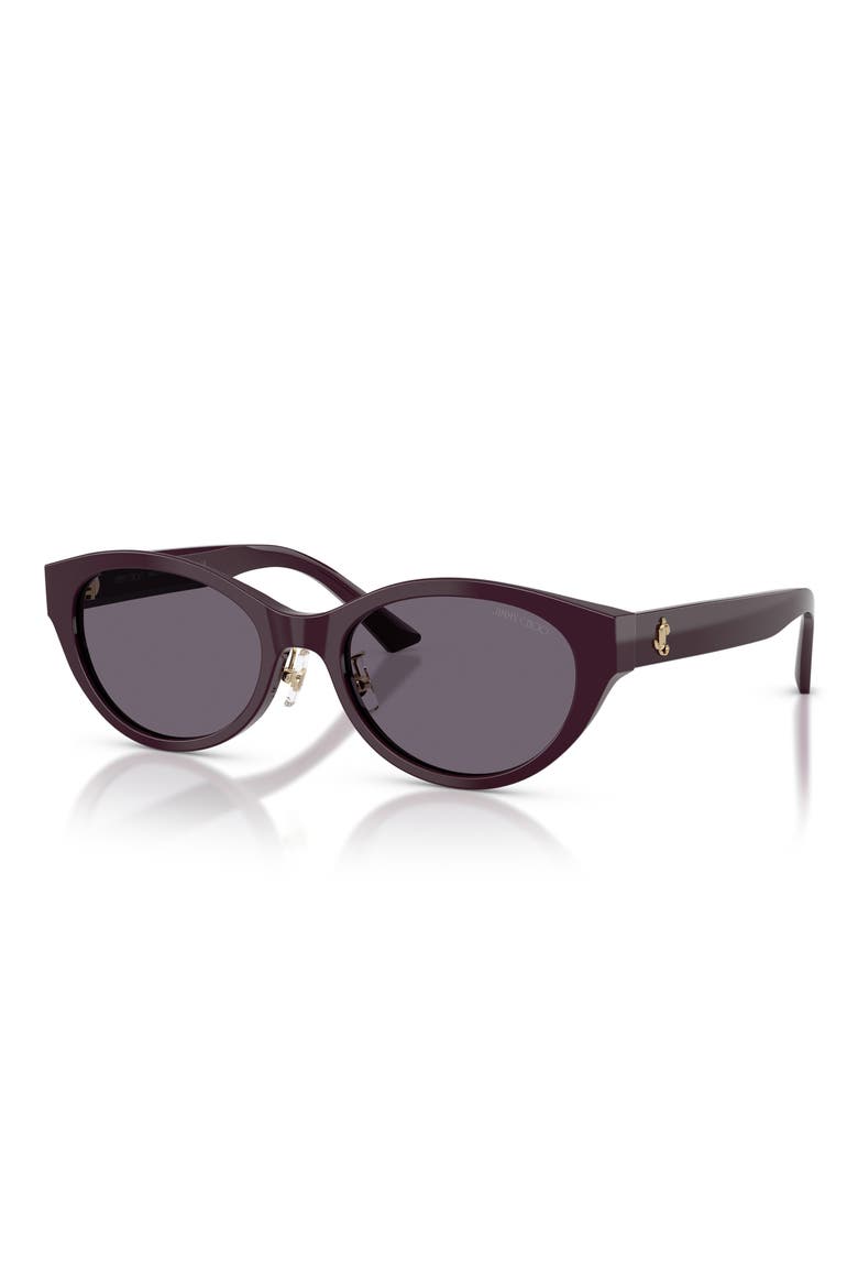 55mm Oval Sunglasses, Alternate, color, PRUNE / VIOLET