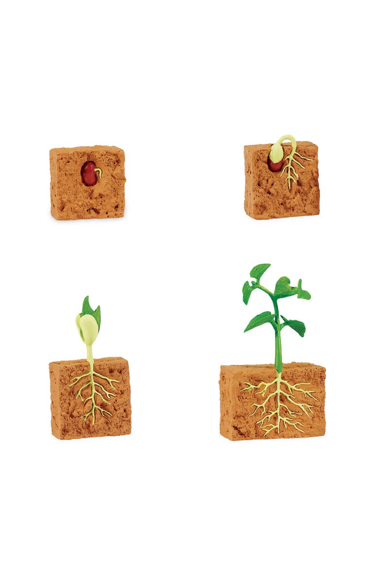 Safari Ltd. Life Cycle Of A Green Bean Plant, Alternate, color, NO COLOR