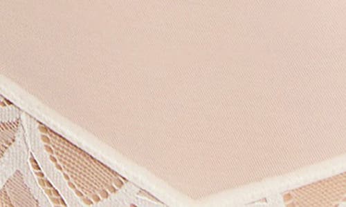 Panache Allure Lace Cheeky Briefs In Neutral