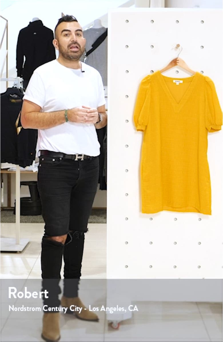 BB Dakota Fields of Gold Shift Dress, sales video thumbnail