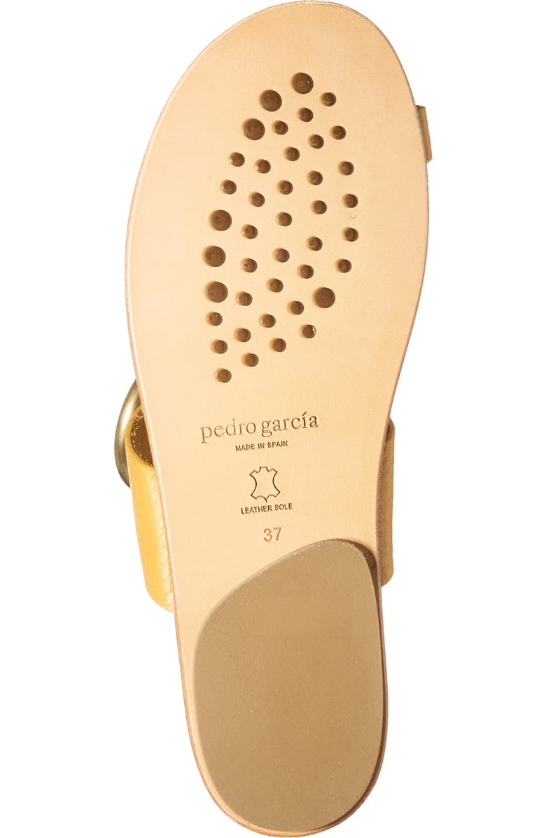 Pedro Garcia Pema Flat Slide Sandal, Alternate, color, Honey Vacchetta