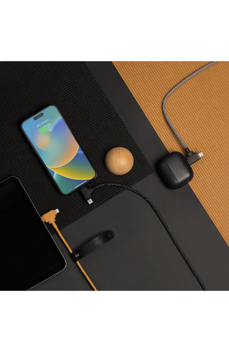 Native Union Belt Power Cable Duo, Alternate, color, 