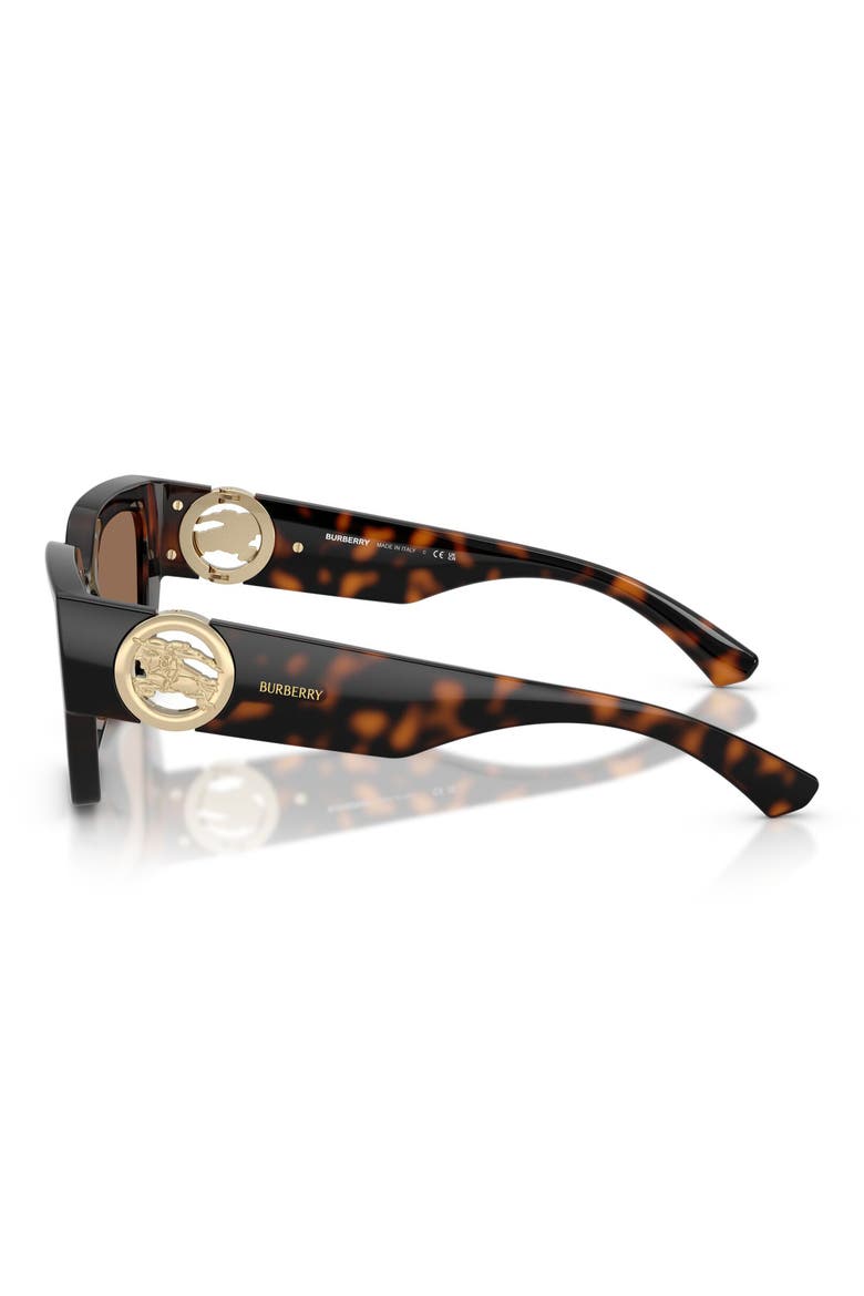 53mm Square Sunglasses, Alternate, color, DARK HAVANA / DARK BROWN