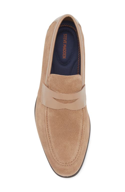 Steve Madden Pomona Penny Loafer In Brown