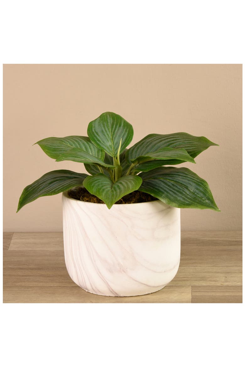 Potted Hosta Planter Decoration, Alternate, color, GREEN