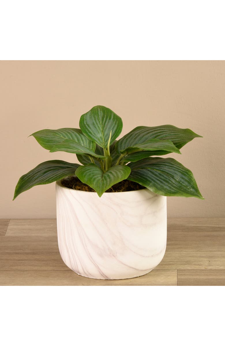 Bloomr Potted Hosta Planter Decoration, Alternate, color, 