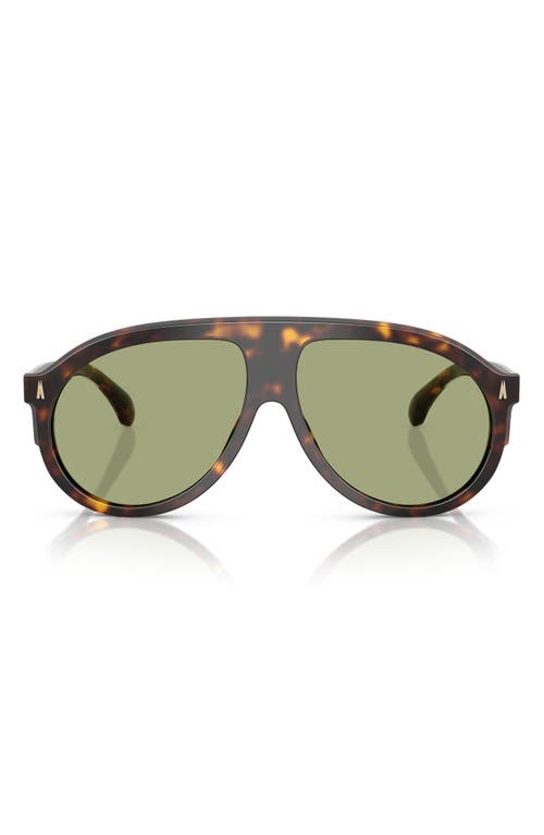 Moncler Fhaite Sunglasses In Dark Tortoise