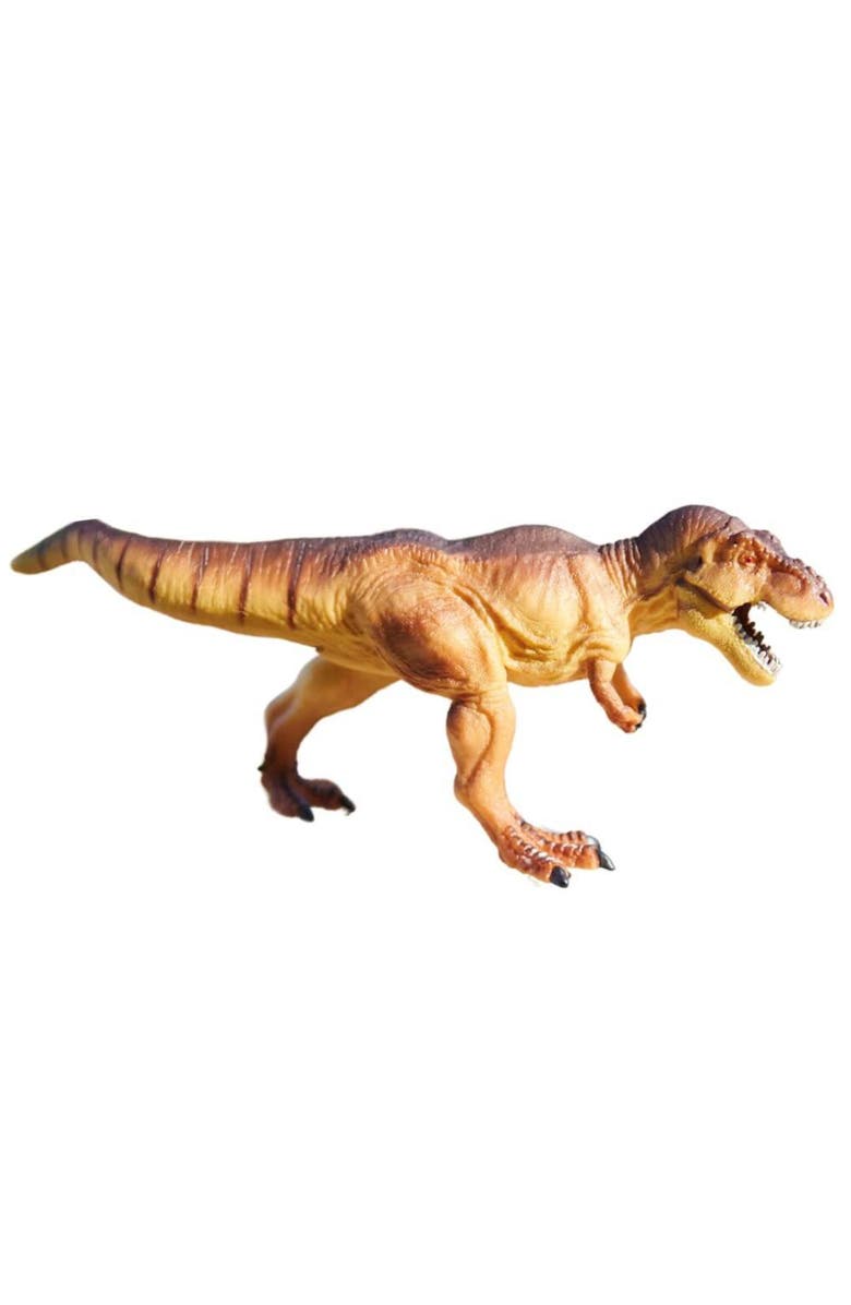 Safari Ltd. Dino Dana Tyrannosaurus Rex Kids Toy Figure, Main, color, NO COLOR