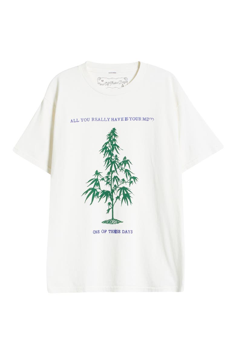 All You Really Have is Your Mind Graphic T-Shirt, Alternate, color, BONE