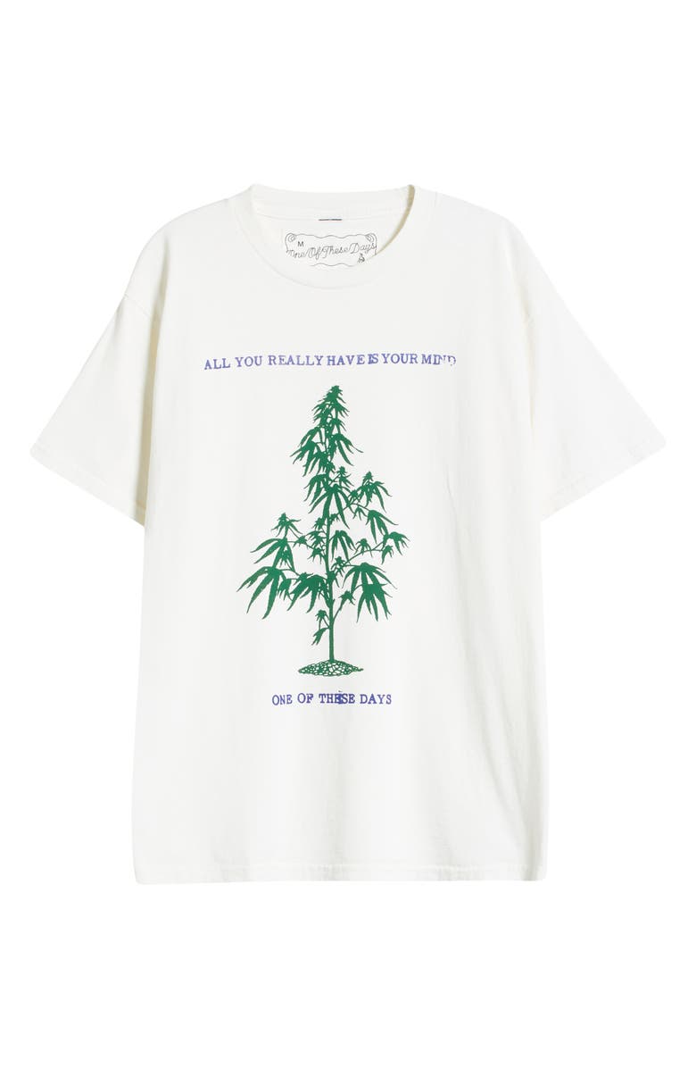 ONE OF THESE DAYS All You Really Have is Your Mind Graphic T-Shirt, Alternate, color, Bone