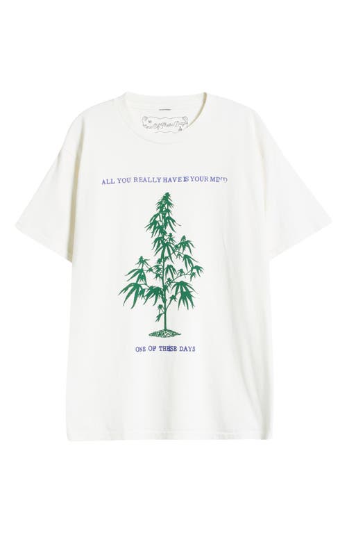 One Of These Days All You Really Have Is Your Mind Graphic T-shirt In Bone
