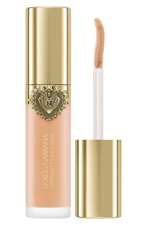 Dolce & Gabbana Dolce&gabbana Everlast Concealer