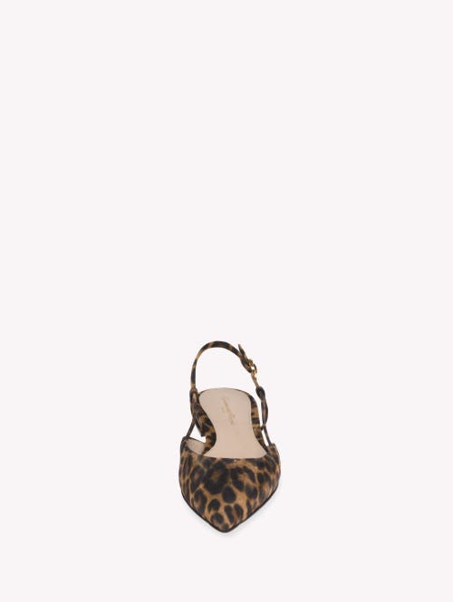 Shop Gianvito Rossi Ascent 05 Slingback In Brown