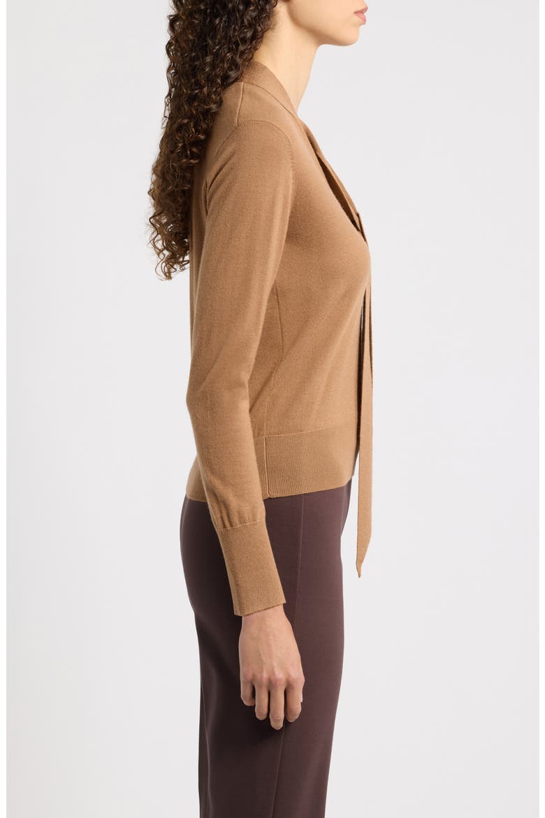 Felicity Tie Neck Merino Wool Sweater, Alternate, color, BOURBON