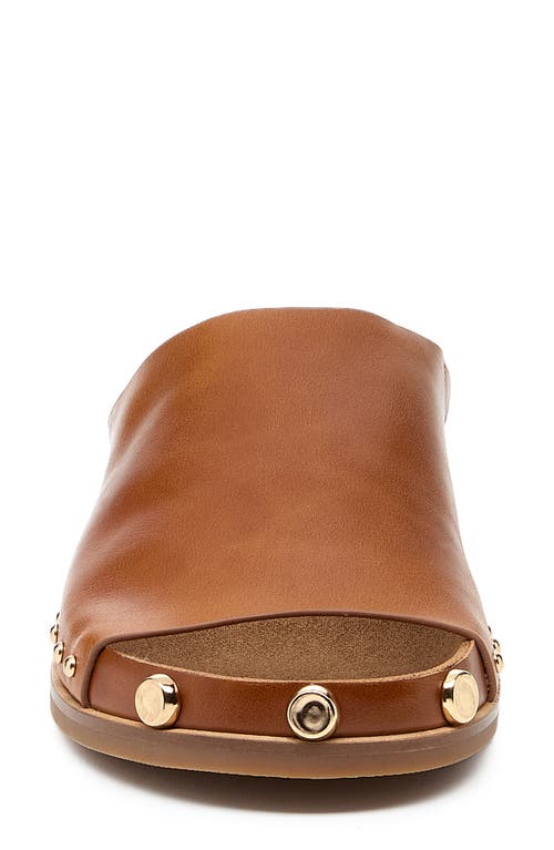 Kelsi Dagger Brooklyn Squish Stud Slide Sandal In Fox