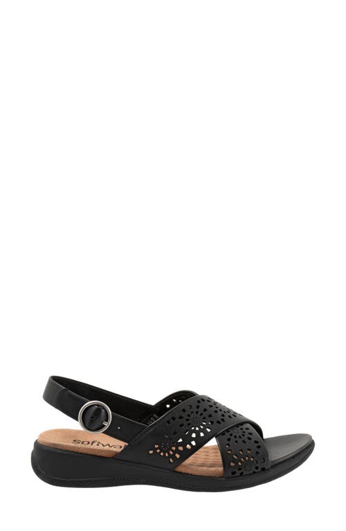 Softwalk ® Tillman Perforated Slingback Sandal In Black