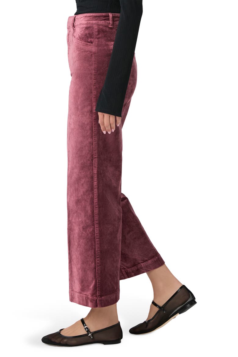 Anessa High Waist Ankle Wide Leg Velvet Pants, Alternate, color, ROSETEA