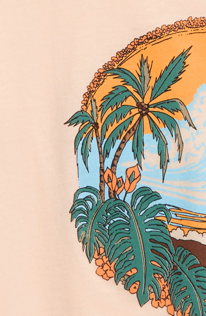 O'Neill Secret Spot Graphic Tee, Alternate, color, 