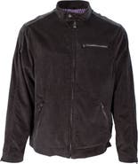 Lords of Harlech Dean Stretch Velvet Biker Jacket