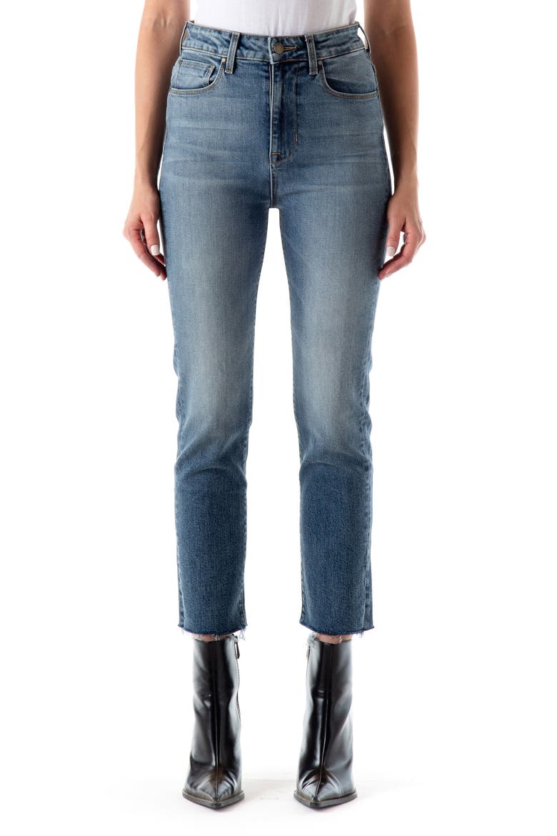 Twiggy High Waist Crop Slim Jeans, Main, color, FREEBIRD