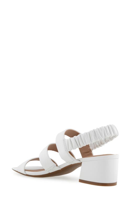 AEROSOLES AEROSOLES CLARISSA SLINGBACK SANDAL