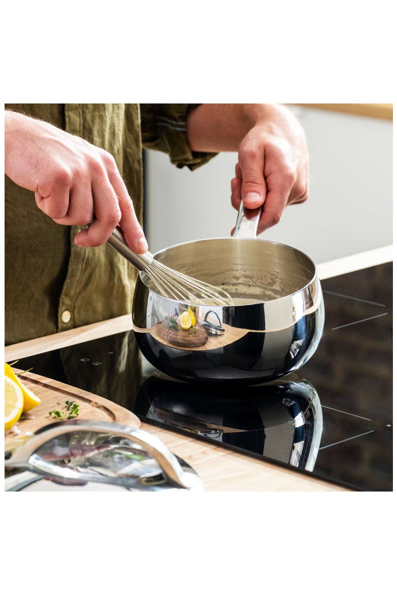 Stellar Belly Tri-Ply Stainless Steel Saucepan & Lid, Alternate, color, STELLAR