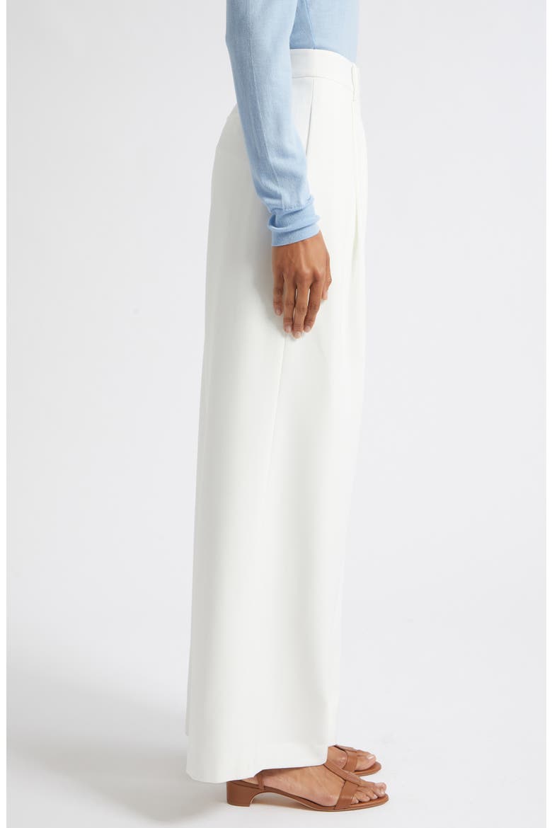 Solara Pleated Wide Leg Trousers, Alternate, color, OPTIC