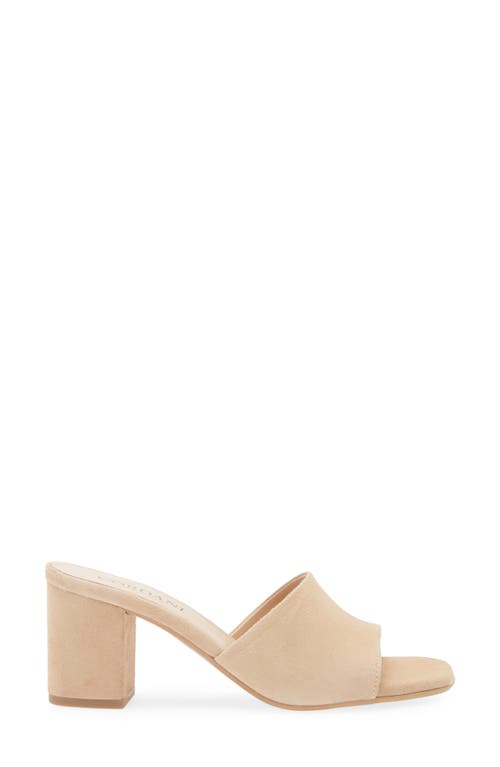 Cordani Irina Slide Sandal In Camoscio Cream