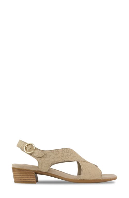 Munro Jenny Sandal