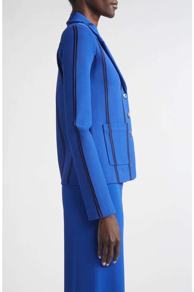 Carter Stripe Roma Crepe Knit Jacket, Alternate, color, COBALT/ MIDNIGHT