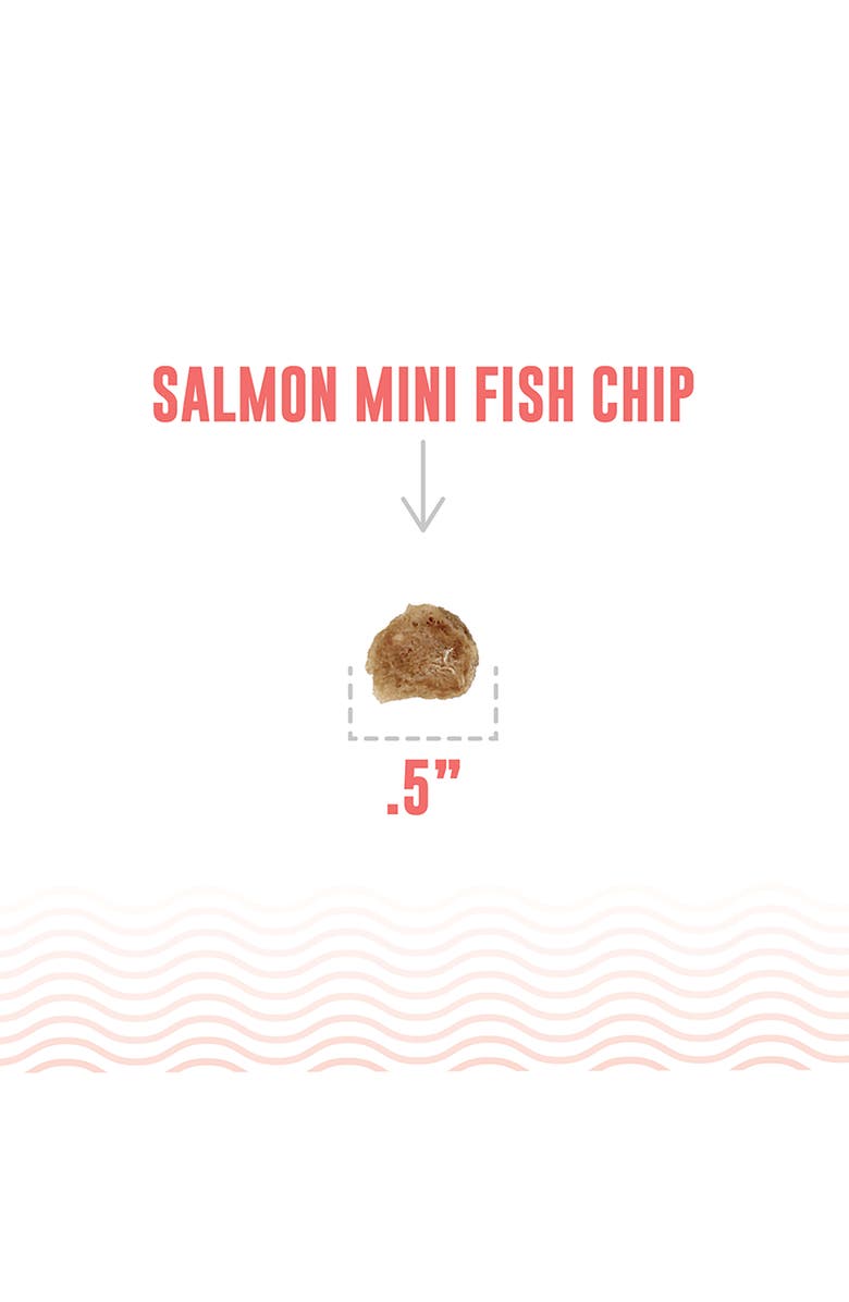 ICELANDIC+ Mini Fish Chips Salmon 2.5oz Dog Treats, Alternate, color, Multicolored