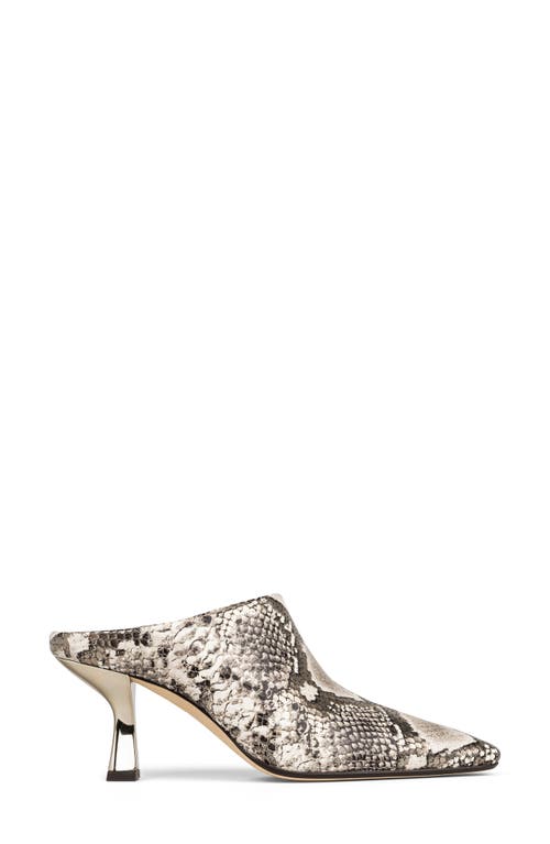 Shop Donald Pliner Kitten Heel Mule