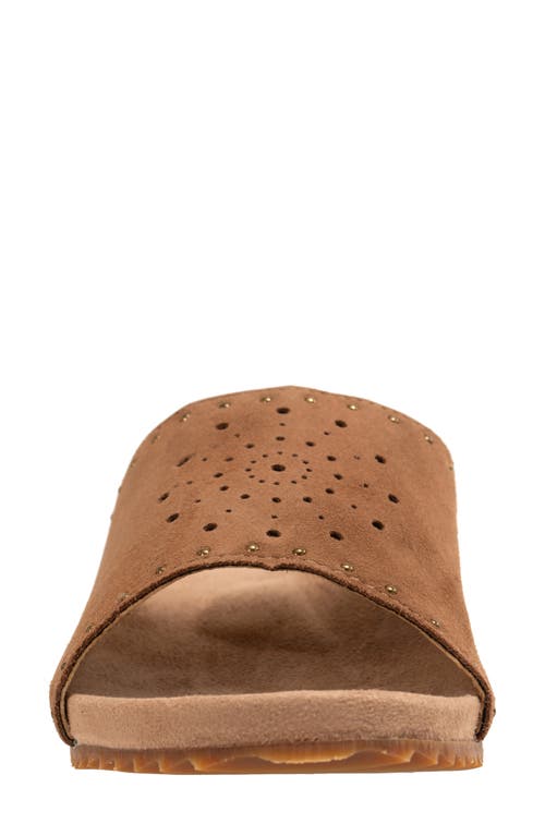 Revitalign Sofia Stud Slide Sandal In Brown
