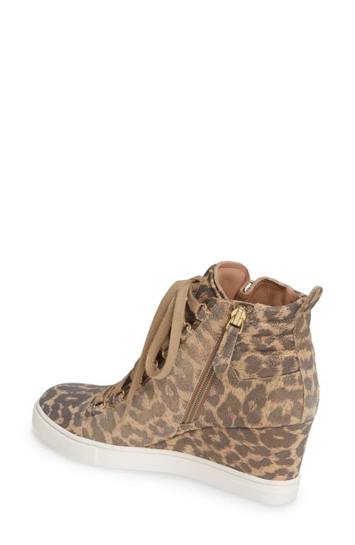Linea Paolo Fenton Wedge Sneaker In Gold Suede