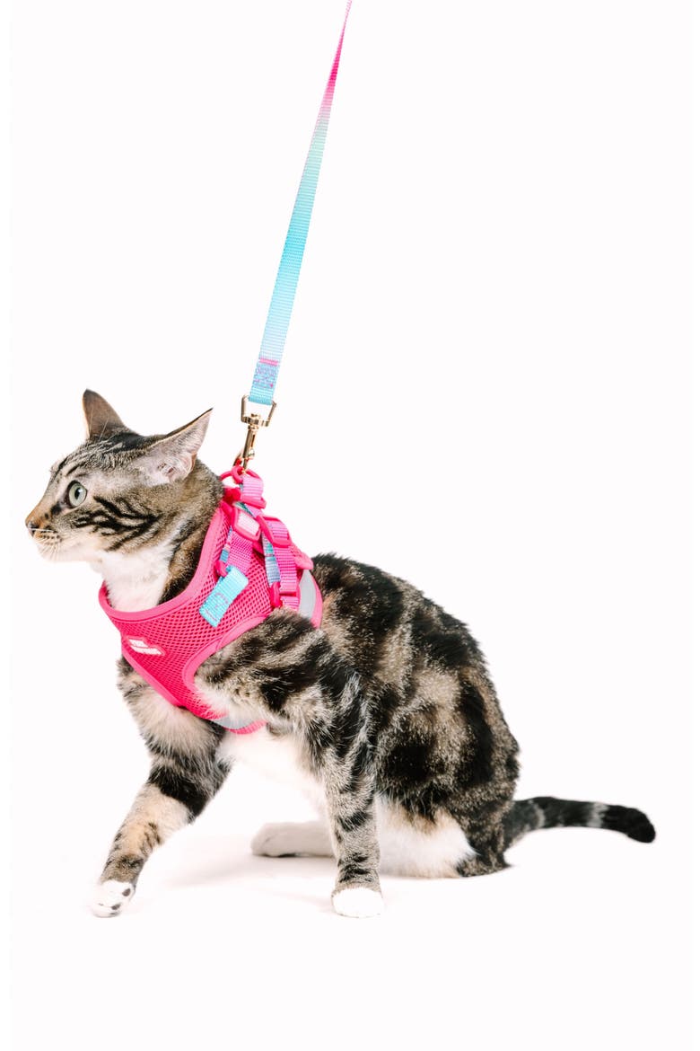 Stasia Cat Harness and Leash Set, Alternate, color, Stasia