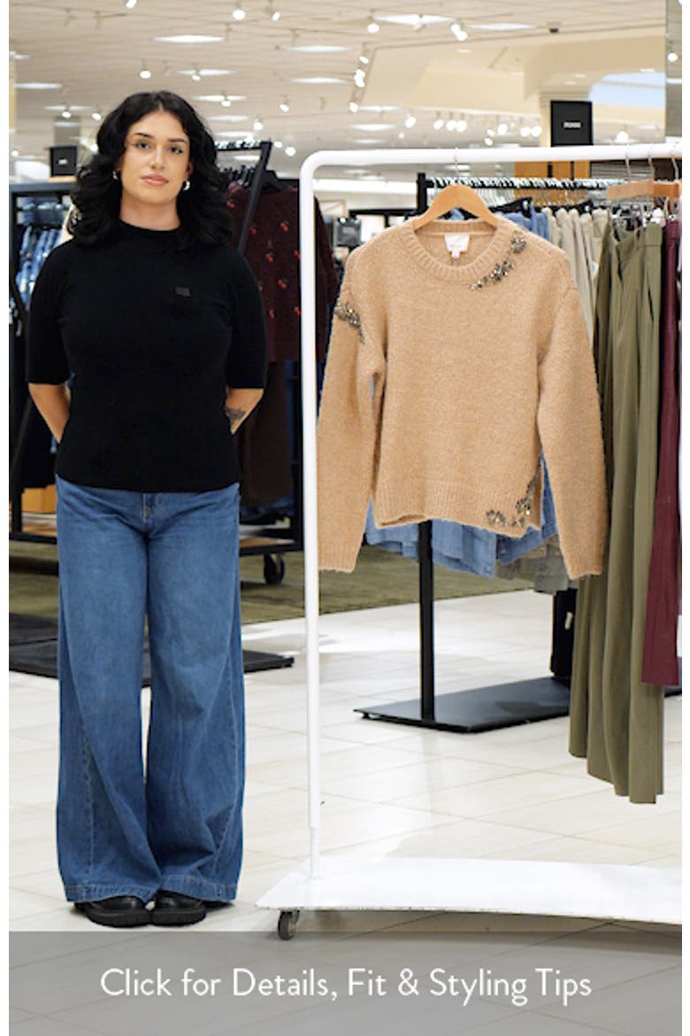 Crystal Lilliana Crewneck Sweater video