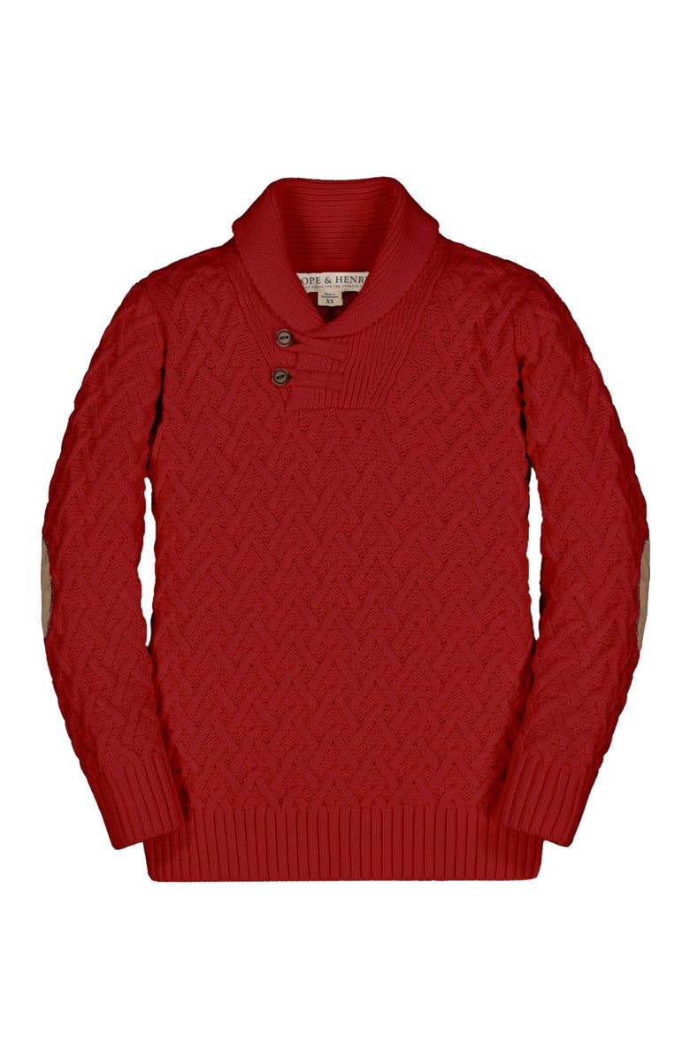 Hope & Henry Baby Boys' Organic Shawl Collar Cable Sweater, Infant, Alternate, color, 