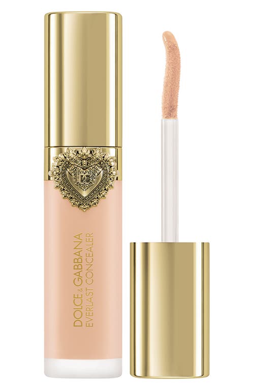 Dolce & Gabbana Dolce&gabbana Everlast Concealer