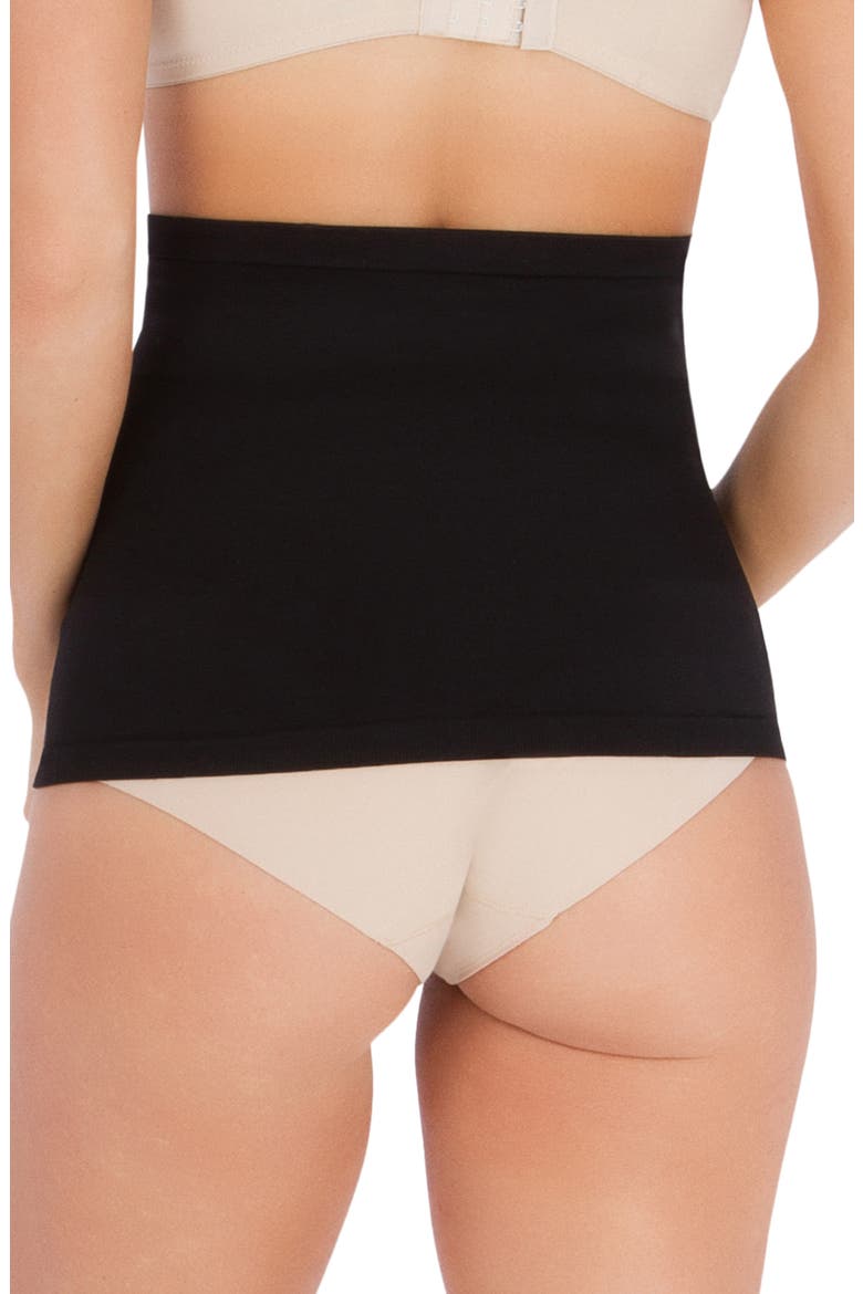 Post Pregnancy Protective Belly Shield, Alternate, color, BLACK